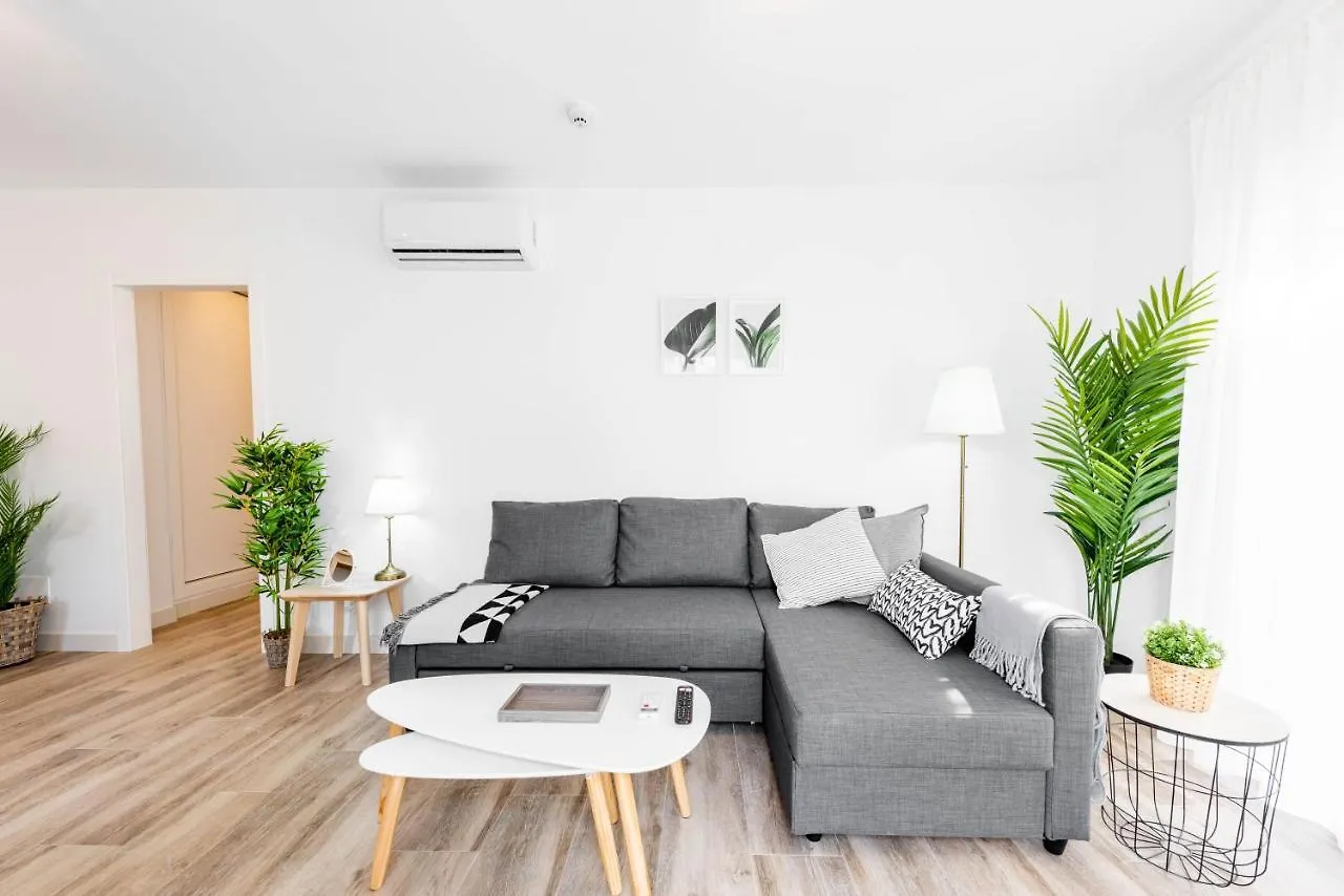 Apartamentos Toboso Plaza ネルハ