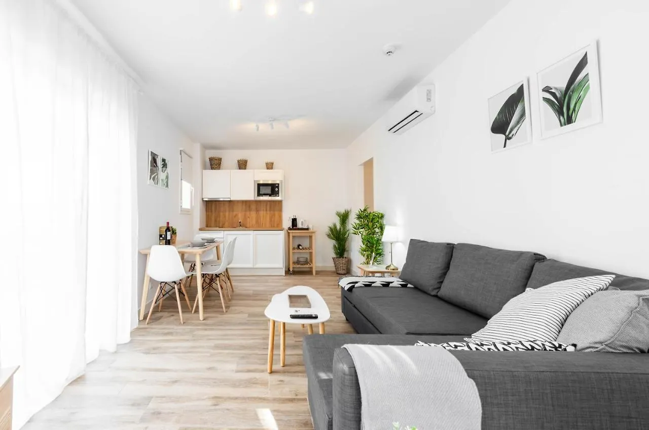 アパートホテル Apartamentos Toboso Plaza ネルハ